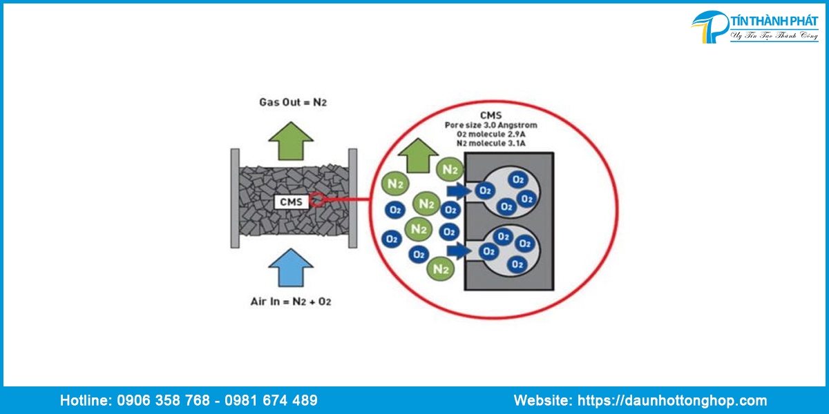 Công dụng hạt tạo khí nito cms